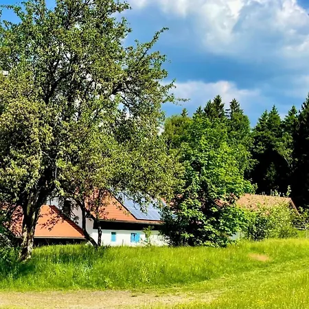 Eckhuetteins *