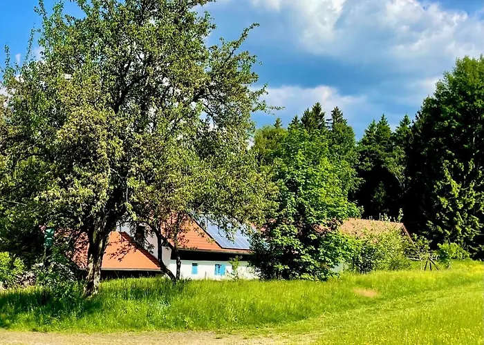 Eckhuetteins *